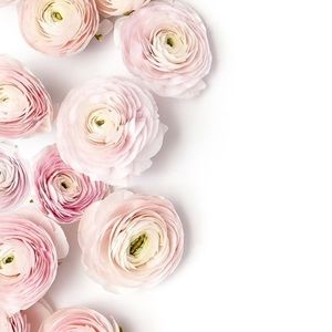 Meet your Posher, Evelyn